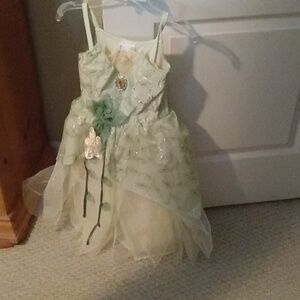 Beautiful princess Tiana gown